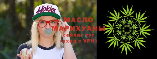 индика Абаза