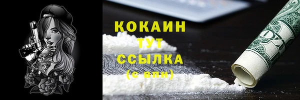 индика Абаза