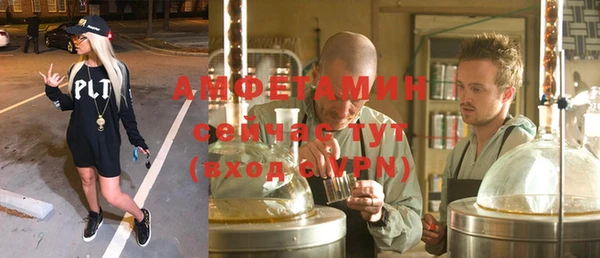 индика Абаза
